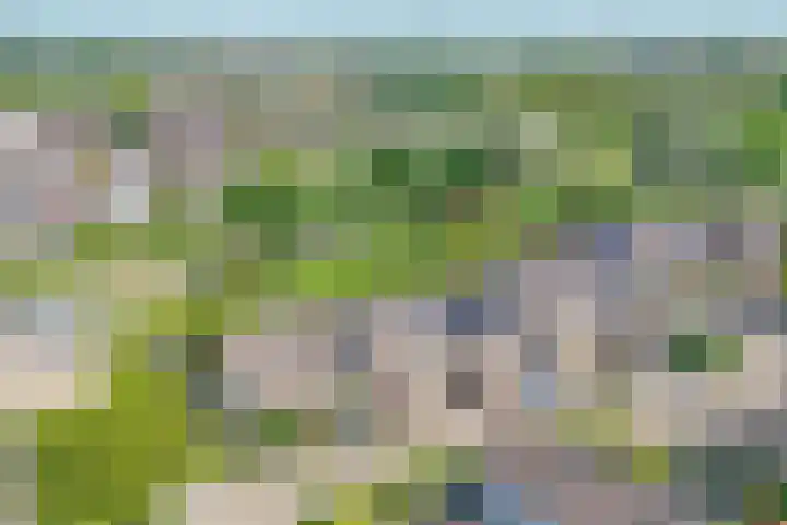 Dubbelspoor 118 Capelle aan den IJssel thumbnail 43