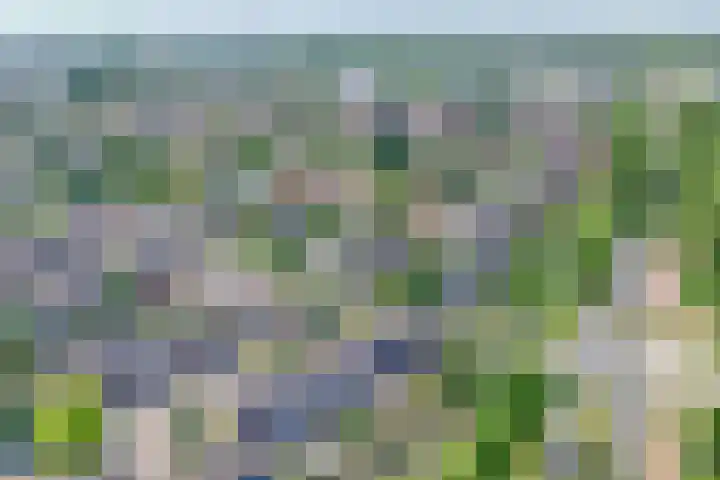 Dubbelspoor 118 Capelle aan den IJssel thumbnail 44