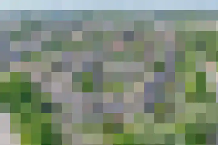 Dubbelspoor 118 Capelle aan den IJssel thumbnail 45