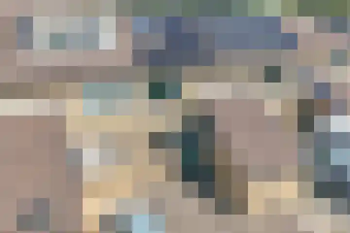 Dubbelspoor 118 Capelle aan den IJssel thumbnail 5