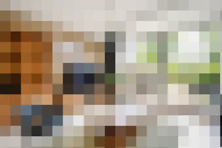 Dubbelspoor 118 Capelle aan den IJssel thumbnail 6