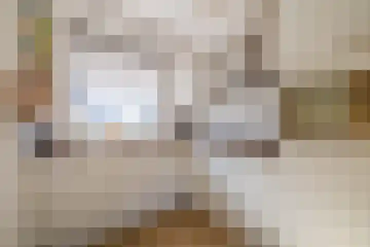 Dubbelspoor 19 Assendelft thumbnail 10
