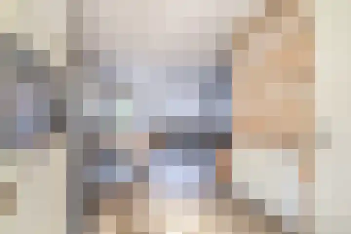 Dubbelspoor 19 Assendelft thumbnail 11