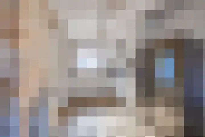 Dubbelspoor 19 Assendelft thumbnail 14