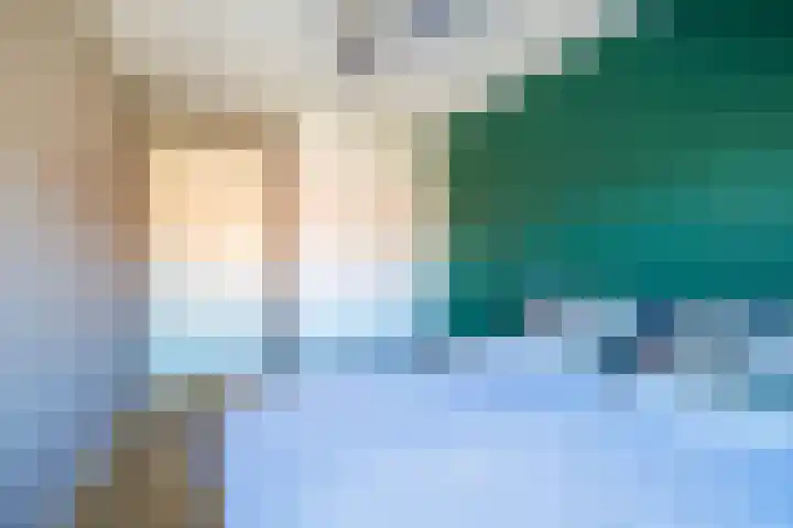 Dubbelspoor 19 Assendelft thumbnail 17