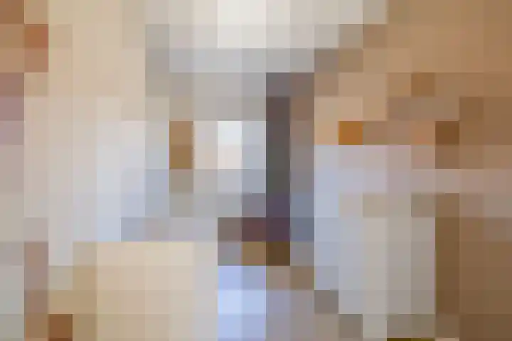 Dubbelspoor 19 Assendelft thumbnail 18