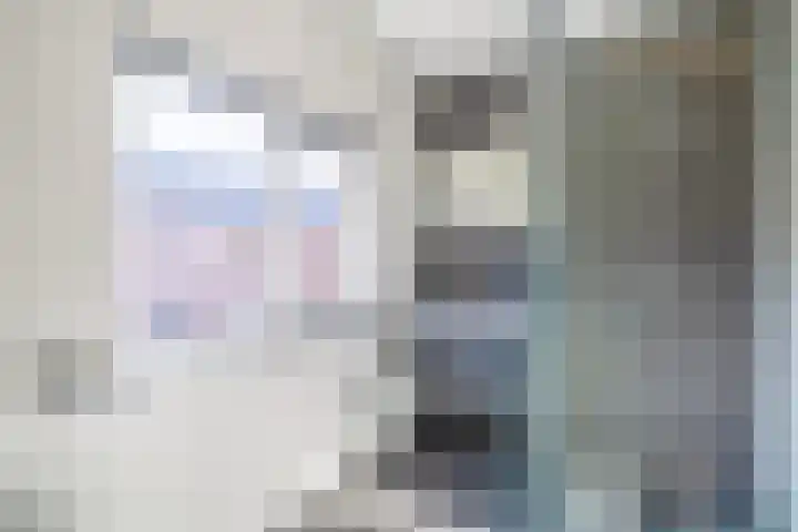 Dubbelspoor 19 Assendelft thumbnail 19