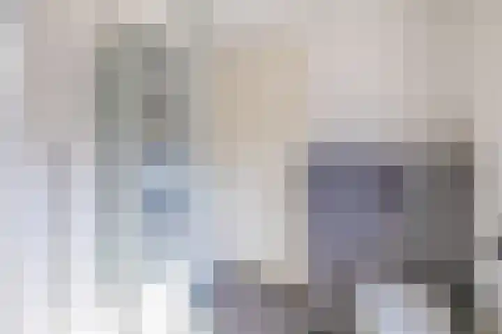 Dubbelspoor 19 Assendelft thumbnail 20
