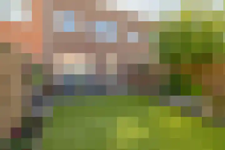 Dubbelspoor 19 Assendelft thumbnail 25