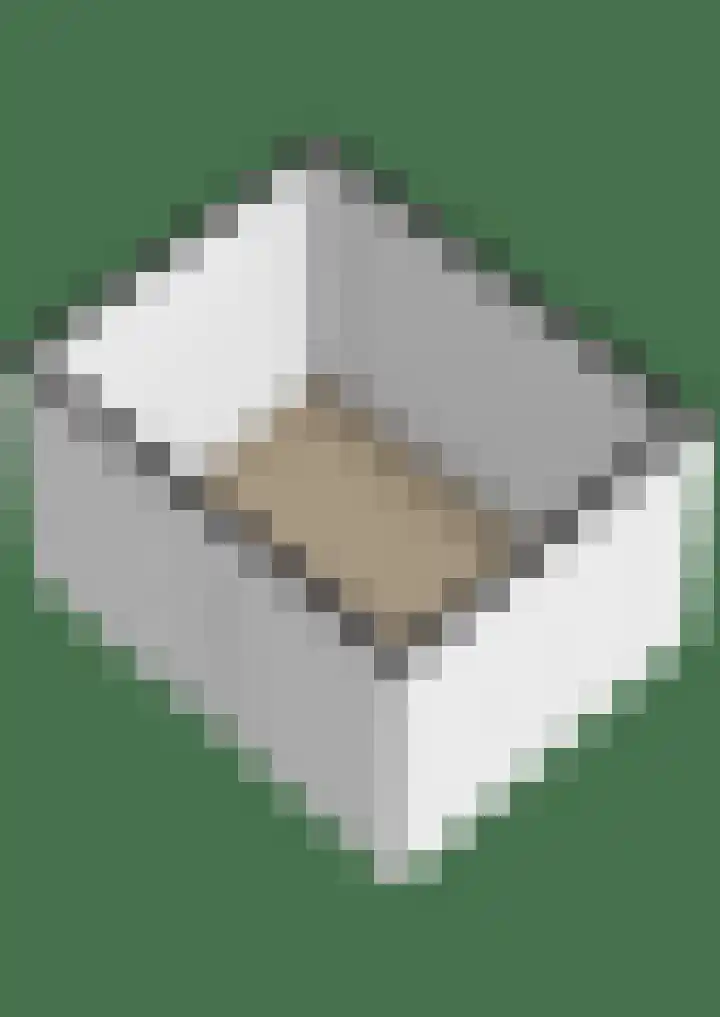 Dubbelspoor 19 Assendelft thumbnail 32