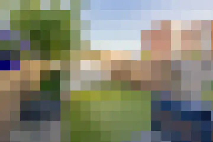 Dubbelspoor 19 Assendelft thumbnail 4
