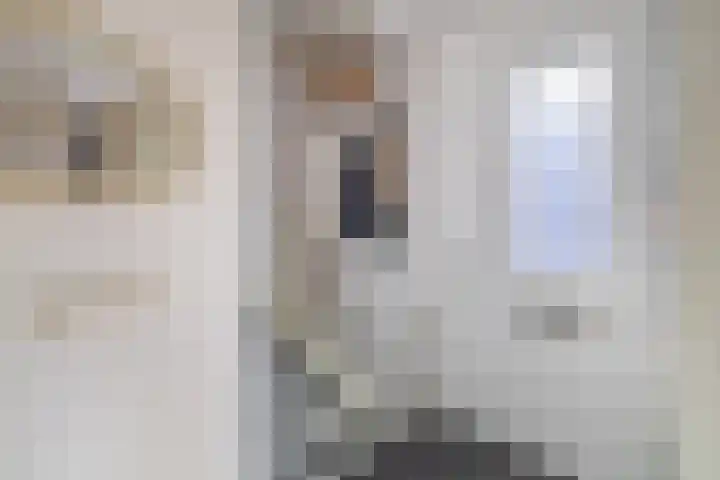 Dubbelspoor 19 Assendelft thumbnail 7