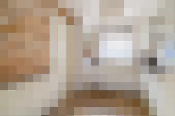 Dubbelspoor 19 Assendelft thumbnail 9