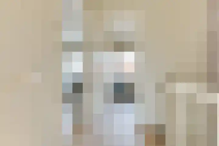 Dubbelspoor 2 D Obdam thumbnail 22