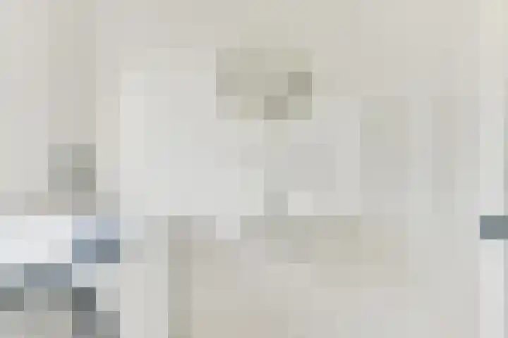 Dubbelspoor 2 D Obdam thumbnail 27