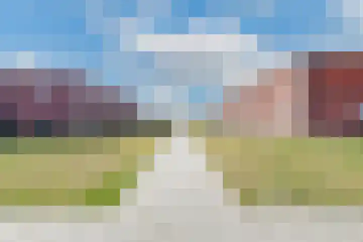 Dubbelspoor 2 D Obdam thumbnail 41