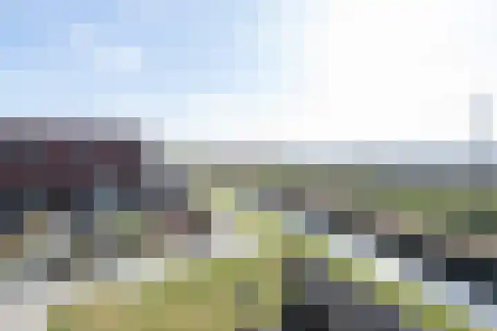 Dubbelspoor 2 D Obdam thumbnail 43