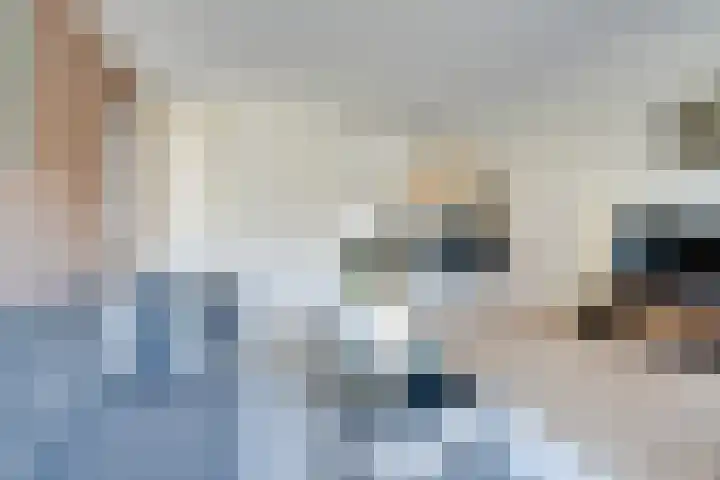 Dubbelspoor 25 Assendelft thumbnail 14