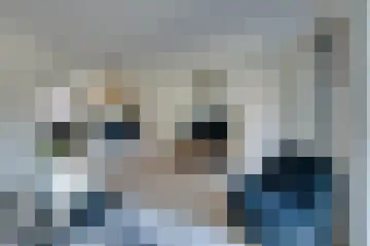 Dubbelspoor 25 Assendelft thumbnail 15