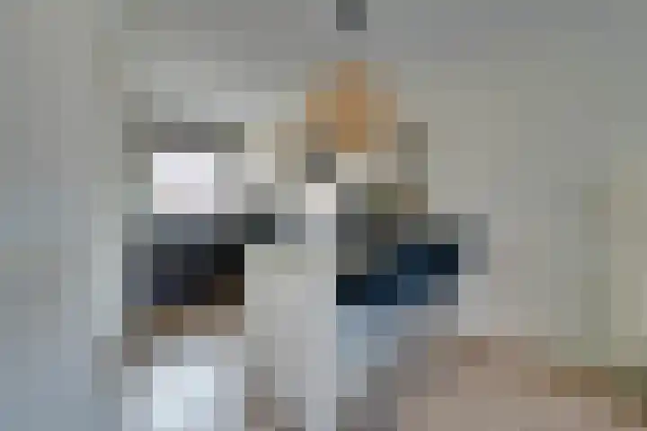 Dubbelspoor 25 Assendelft thumbnail 16