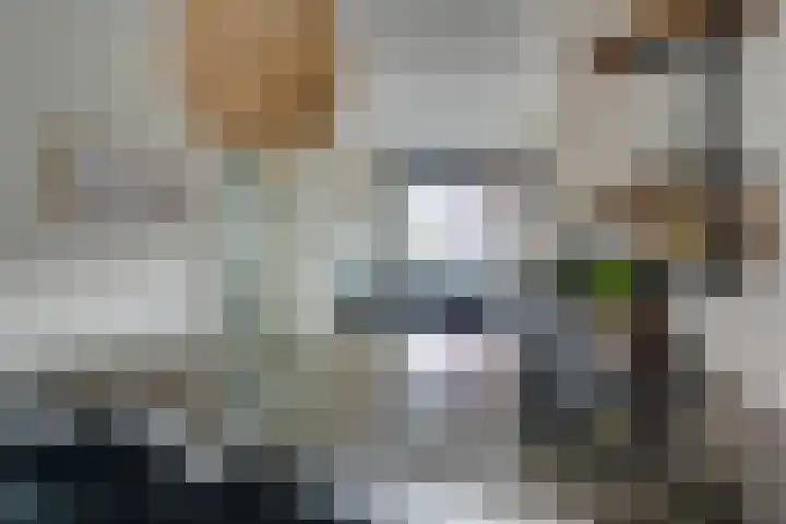Dubbelspoor 25 Assendelft thumbnail 18