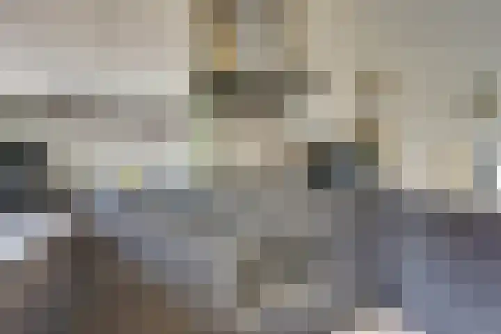 Dubbelspoor 25 Assendelft thumbnail 21