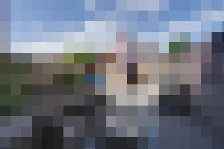 Dubbelspoor 25 Assendelft thumbnail 24