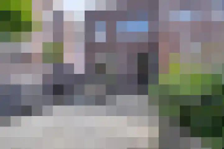 Dubbelspoor 25 Assendelft thumbnail 26
