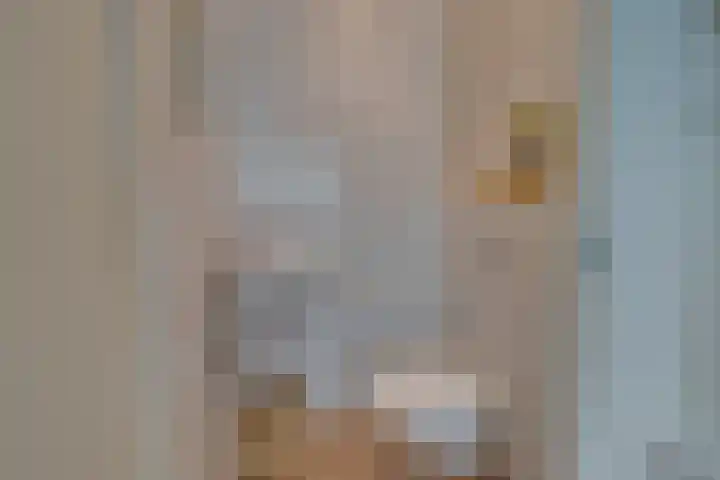 Dubbelspoor 25 Assendelft thumbnail 27