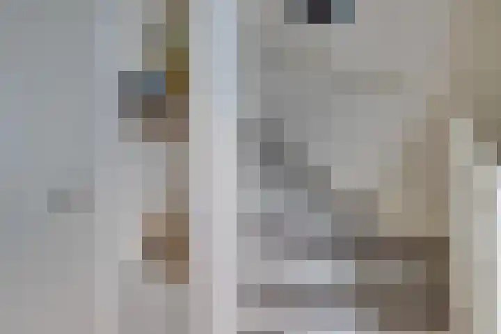 Dubbelspoor 25 Assendelft thumbnail 28