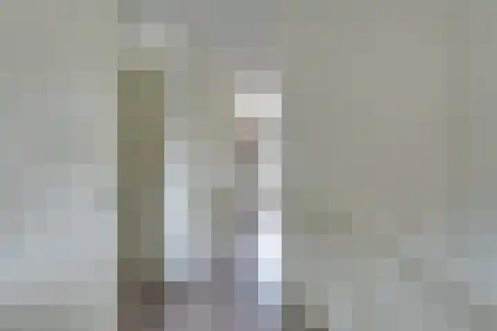 Dubbelspoor 25 Assendelft thumbnail 29