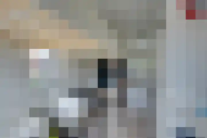 Dubbelspoor 25 Assendelft thumbnail 35