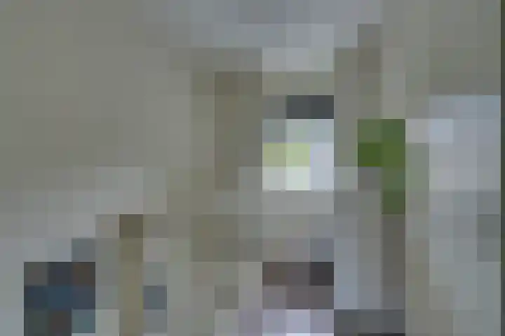 Dubbelspoor 25 Assendelft thumbnail 36
