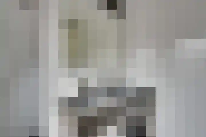 Dubbelspoor 25 Assendelft thumbnail 38