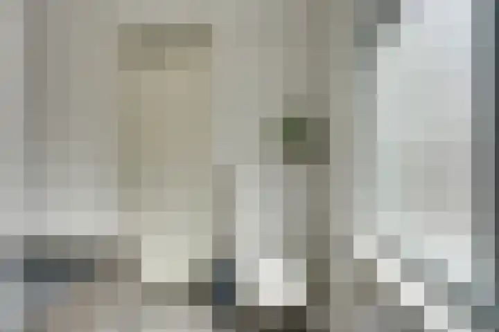 Dubbelspoor 25 Assendelft thumbnail 40