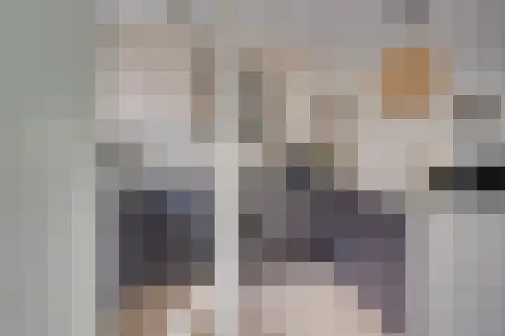 Dubbelspoor 25 Assendelft thumbnail 8