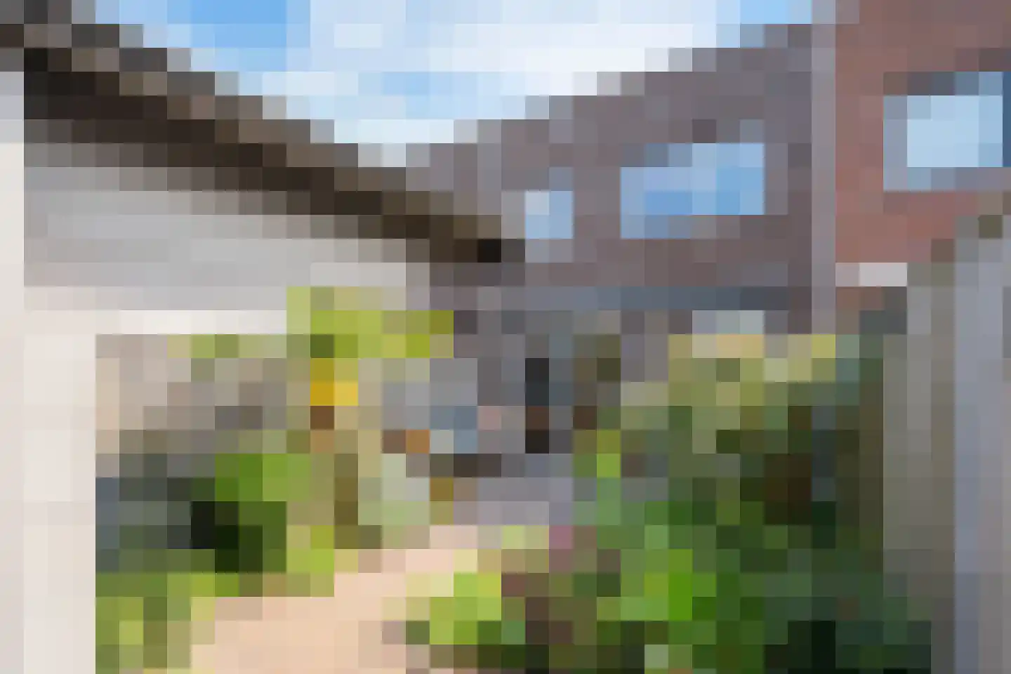 Dubbelspoor 3 Assendelft thumbnail 17