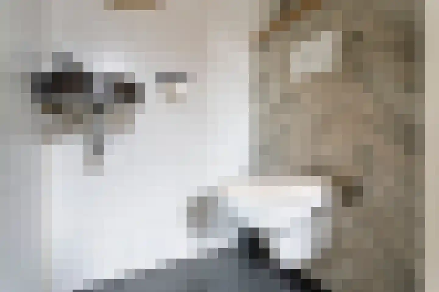 Dubbelspoor 3 Assendelft thumbnail 19