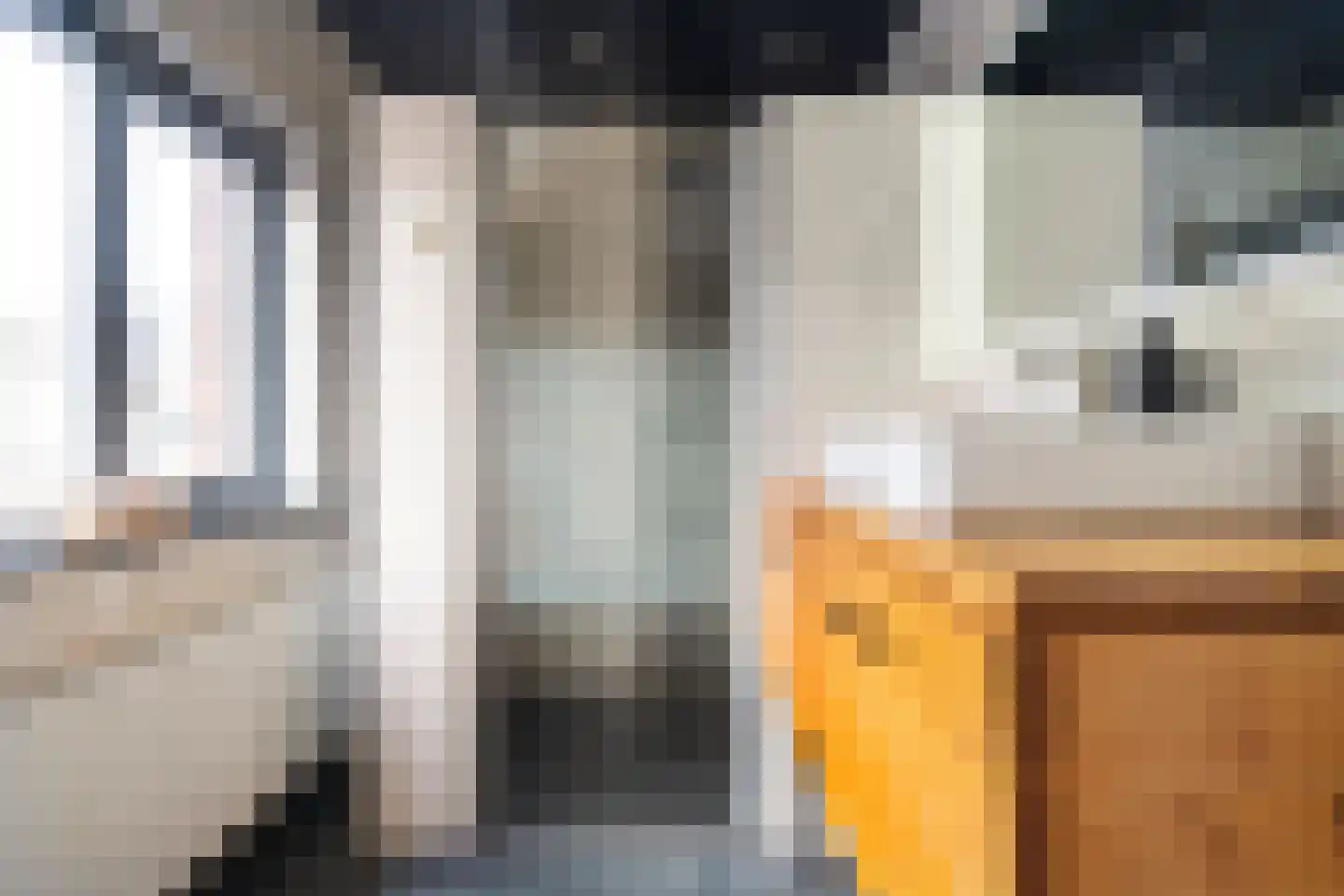 Dubbelspoor 3 Assendelft thumbnail 22