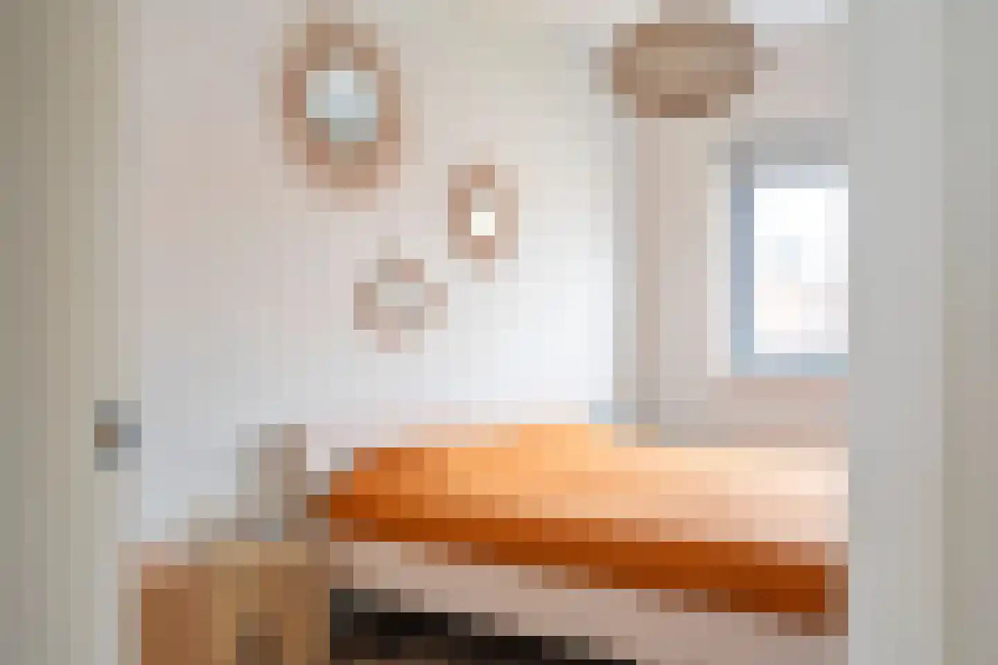 Dubbelspoor 3 Assendelft thumbnail 26