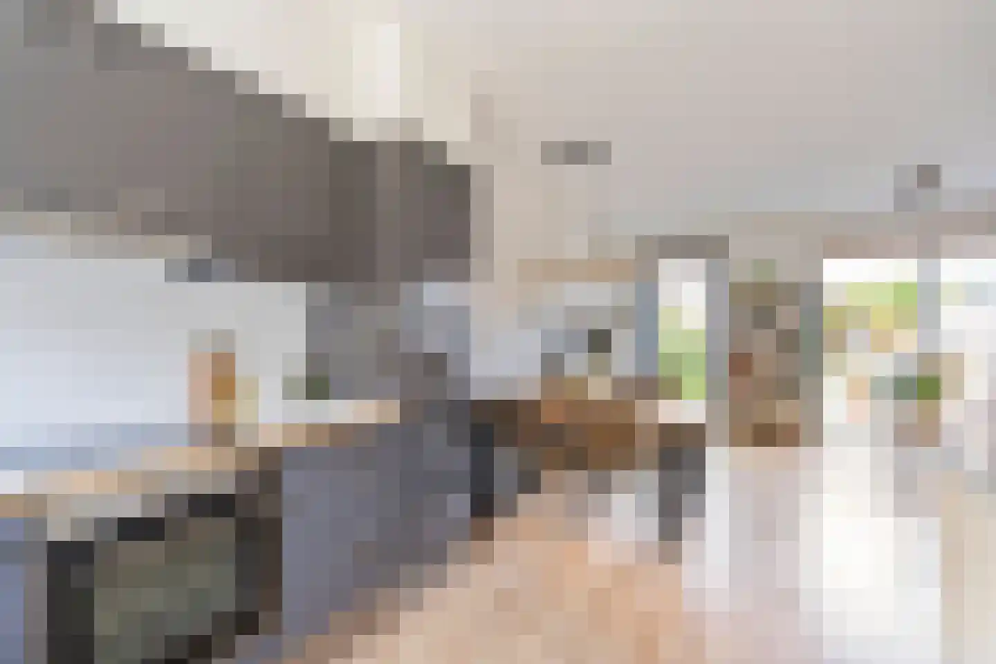 Dubbelspoor 3 Assendelft thumbnail 5