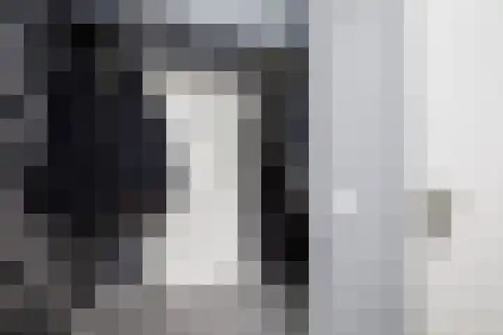 Dubbelspoor 36 Capelle aan den IJssel thumbnail 19