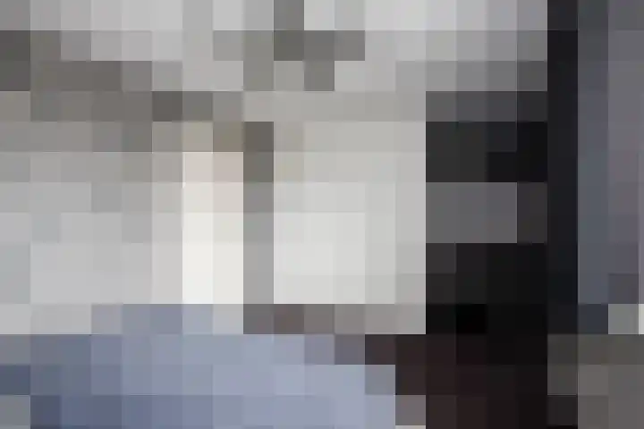 Dubbelspoor 36 Capelle aan den IJssel thumbnail 22