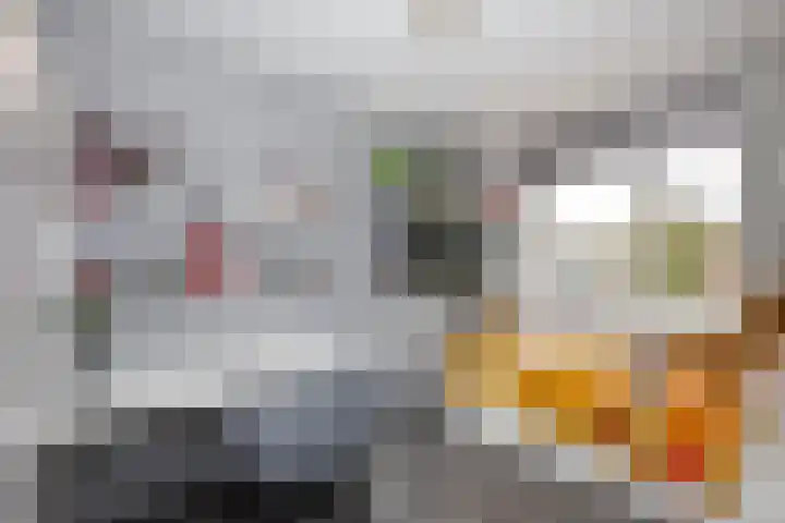Dubbelspoor 36 Capelle aan den IJssel thumbnail 23