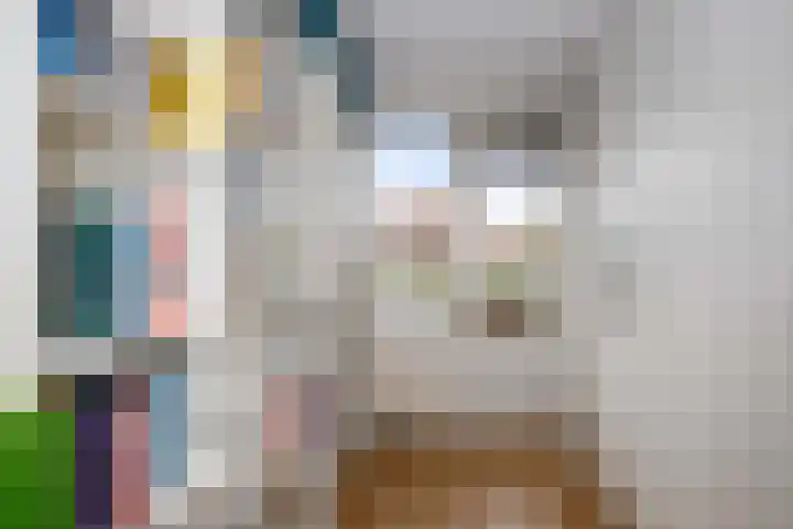 Dubbelspoor 36 Capelle aan den IJssel thumbnail 24