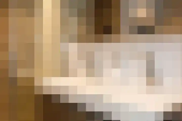 Dubbelspoor 36 Capelle aan den IJssel thumbnail 25