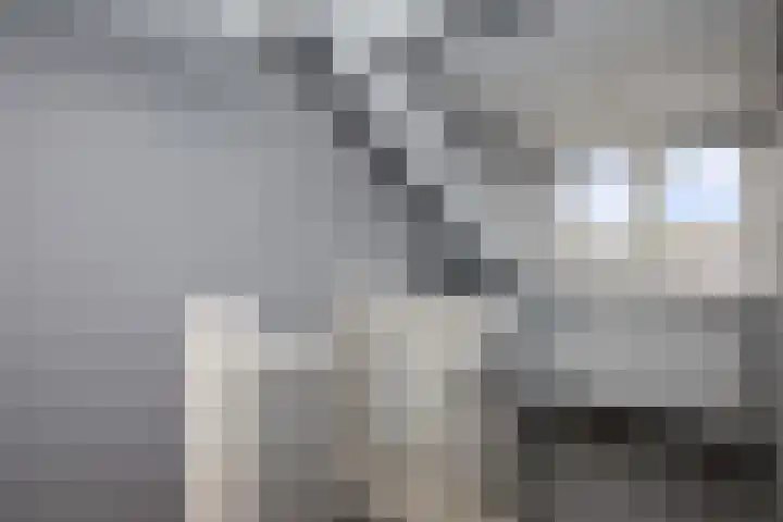 Dubbelspoor 36 Capelle aan den IJssel thumbnail 28