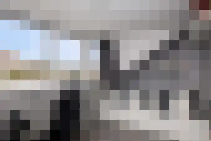 Dubbelspoor 36 Capelle aan den IJssel thumbnail 30