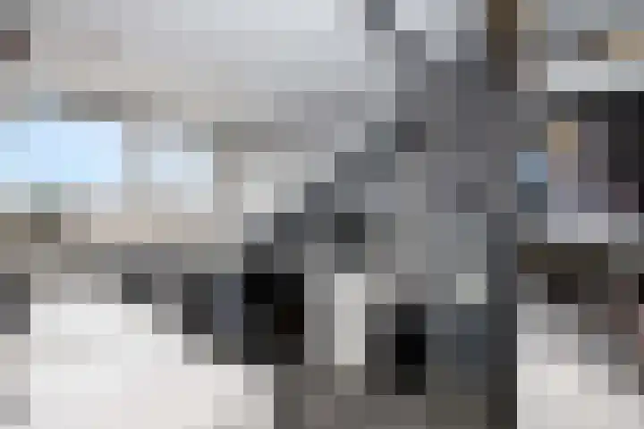 Dubbelspoor 36 Capelle aan den IJssel thumbnail 31