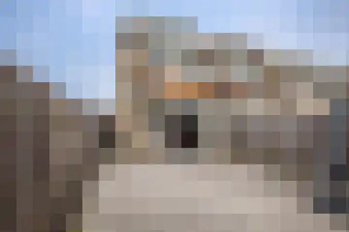 Dubbelspoor 36 Capelle aan den IJssel thumbnail 33